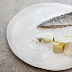 Assiette porcelaine Yli Revol plate blanc albâtre Ø 26.5 cm (x 4)