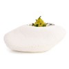 Assiette porcelaine 100%Chef, Big Rock motifs floraux 22 x 19 cm