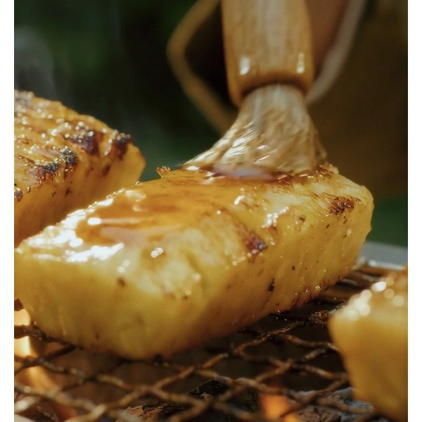 Barbecue gril Kasai Nano compact Pro