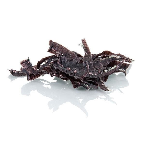 Chips à frire Kroepoek Didess forme poulpe saveur kimchi, 860 pièces