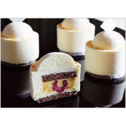 Moule Flexipan cylindre 48 empreintes 25 ml