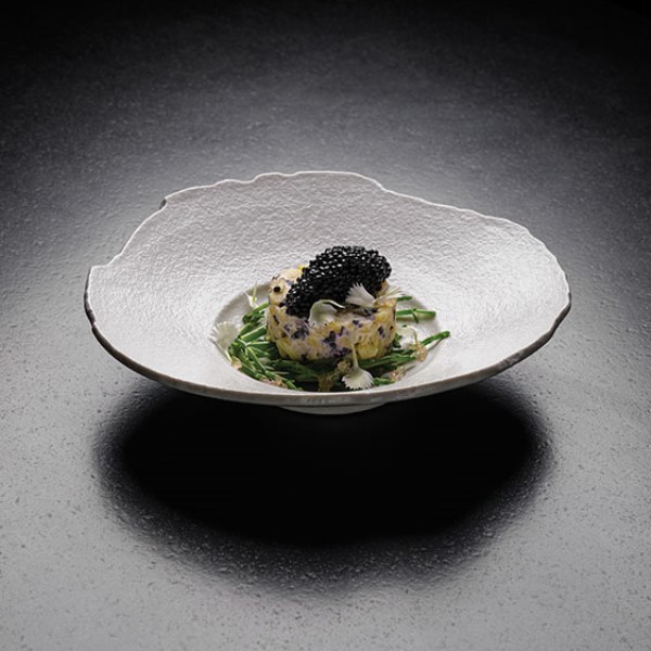 Assiette en grès Organique 22.5 x 22.4 cm petit bassin (x 6)