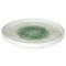 Assiette porcelaine Axone plate bord droit In Situ Ø 25 cm (x 4)