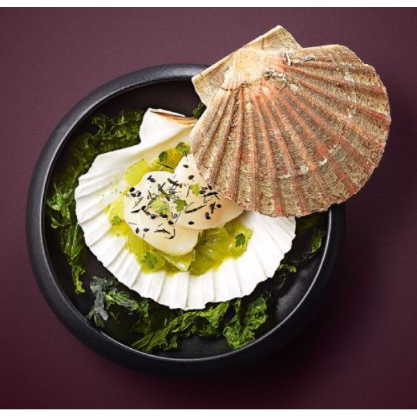 Assiette en grès Nuit Gourmet mini creuse Ø 16 cm (x 12)