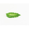 Moule en silicone 100%Chef tuile Plumes (7 empreintes)