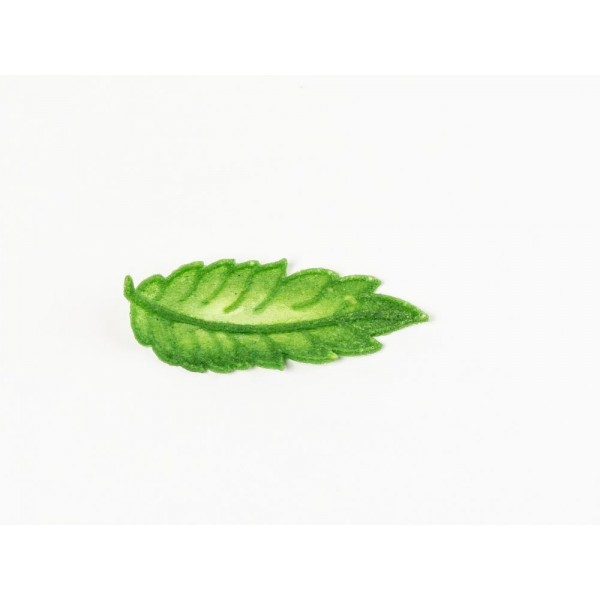 Moule en silicone 100%Chef tuile Plumes (7 empreintes)