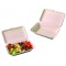 Boite lunch en fibre de canne 25 x 16 cm, 1 compartiment (x 500)