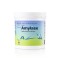 Amyläse Toufood enzyme pour amidons (500 g)