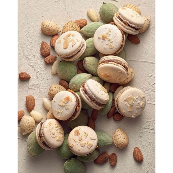 Livre Infiniment macaron, Pierre Hermé